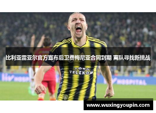 比利亚雷亚尔官方宣布后卫费梅尼亚合同到期 离队寻找新挑战