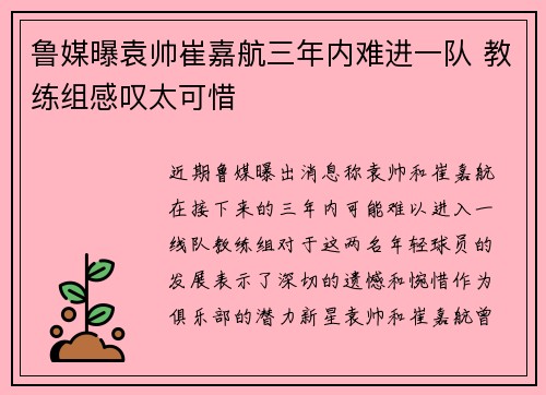 鲁媒曝袁帅崔嘉航三年内难进一队 教练组感叹太可惜