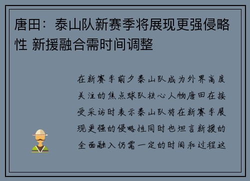 唐田：泰山队新赛季将展现更强侵略性 新援融合需时间调整